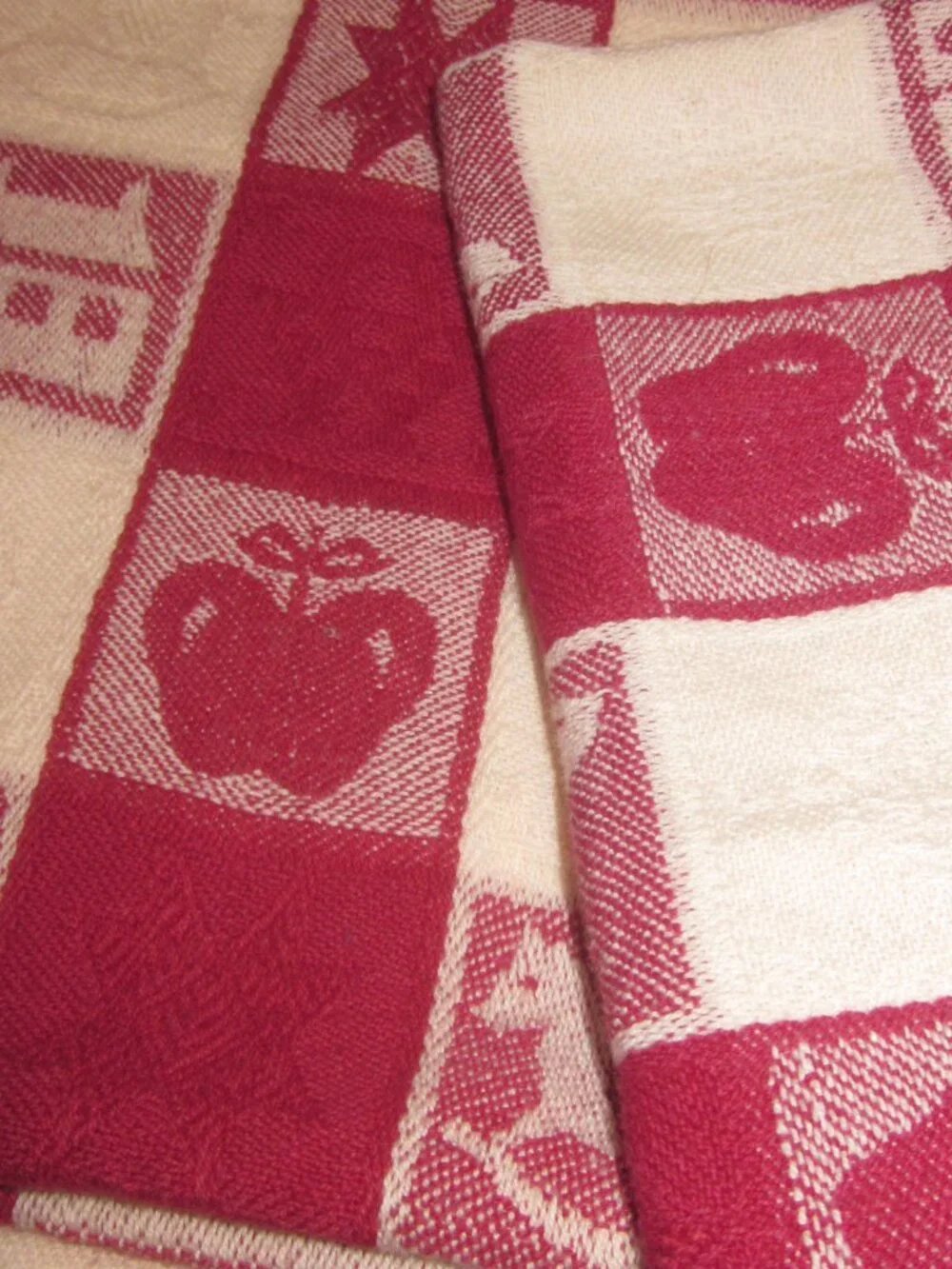 Cotton Napkins Folk Art Design